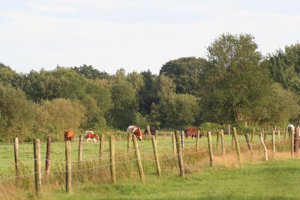 Vakantiehuis Weideblik Biezenmortel Luaran gambar
